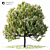 14m Landscape Tree - Realistic 3D Model 3D model small image 1