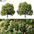 14m Landscape Tree - Realistic 3D Model 3D model small image 2