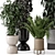 Modern Indoor Plants in Ferm Living Bau Pot Set 3D model small image 4