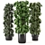 Lush Indoor Plants Set - 247 3D model small image 1