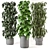 Greenery Haven - 3D Indoor Plants 3D model small image 1