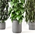 Greenery Haven - 3D Indoor Plants 3D model small image 2