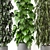 Greenery Haven - 3D Indoor Plants 3D model small image 3