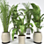 Tropical Plant Collection: Palm & Banana Trees 3D model small image 3