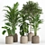 Pristine Indoor Oasis: Plant Set 018 3D model small image 1