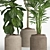 Pristine Indoor Oasis: Plant Set 018 3D model small image 3