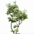 Hazel Leaves: Stunning 3D Models 3D model small image 4