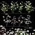 Gossypium: 8pcs Cotton Plant 3D model small image 1