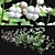 Gossypium: 8pcs Cotton Plant 3D model small image 4