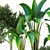Sleek Indoor Plant Vol. 42 3D model small image 2