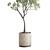 Patterned Concrete Vase with Indoor Olive Tree 3D model small image 2