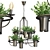 Suspended Plant Decor: Plant Chandelier 3D model small image 2