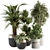 Oasis of Green: Indoor Tree & Plant Set 3D model small image 1