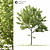 2014 Landscape Tree Sculpture 3D model small image 1