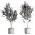 26-Piece Indoor Plant Set: V-Ray/Corona, High-Polys, 2015 3D model small image 6