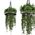 Metal Box Hanging Plants for Indoor Décor 3D model small image 1