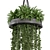 Metal Box Hanging Plants for Indoor Décor 3D model small image 4