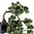 Bonsai Pine: Stylish Indoor Plant 3D model small image 2