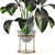 Nature's Haven Indoor Plant Set 3D model small image 2