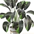 Nature's Haven Indoor Plant Set 3D model small image 3