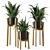 Rustic Indoor Plants in Concrete Pot - Set 535 3D model small image 1