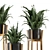 Rustic Indoor Plants in Concrete Pot - Set 535 3D model small image 4