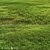 Versatile Grass Pack 3D model small image 1