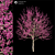 2014 Landscape Tree: 6m Height, Corona Render 3D model small image 1