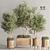 Greenery Deluxe Indoor Plant Set 3D model small image 1
