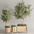 Greenery Deluxe Indoor Plant Set 3D model small image 2