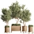 Greenery Deluxe Indoor Plant Set 3D model small image 8