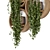 Concrete Pot Hanging Plants Set 3D model small image 3