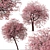 Double-Flowering Kwanzan Cherry Trees (2 Pack) 3D model small image 4