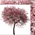 Double-Flowering Kwanzan Cherry Trees (2 Pack) 3D model small image 6