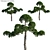 Podocarpus Macrophyllus: Exquisite Evergreen Tree 3D model small image 1