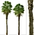 Coastal Carolina Palmetto Trees (2-Pack) 3D model small image 2
