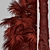 Coastal Carolina Palmetto Trees (2-Pack) 3D model small image 7