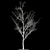 Winter Wonderland Poplar Tree 3D model small image 2