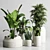 197 Plant Collection: Ficus Lyrata, Palm, Cactus in Concrete Vase 3D model small image 1