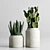 197 Plant Collection: Ficus Lyrata, Palm, Cactus in Concrete Vase 3D model small image 4