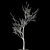 Winter Wonderland Poplar Tree 3D model small image 2