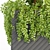 Greenery Galore: Indoor Plant Collection 3D model small image 4