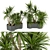 Tropical Greenery Collection: Indoor Palm & Dracaena 3D model small image 1