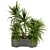 Tropical Greenery Collection: Indoor Palm & Dracaena 3D model small image 3