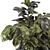 Rusty Concrete Pot Indoor Plants - Set 549 3D model small image 4