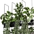 Metal Box with Hanging Plants 3D model small image 4