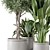 Rusty Concrete Pot Set with Indoor Plants 3D model small image 3