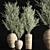 Indoor Olive Plant Set - Modern Design 3D model small image 2