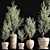 Indoor Olive Plant Set - Modern Design 3D model small image 3