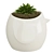 Bird Pot Plants: Beautiful Greenery in Stylish Pots 3D model small image 2